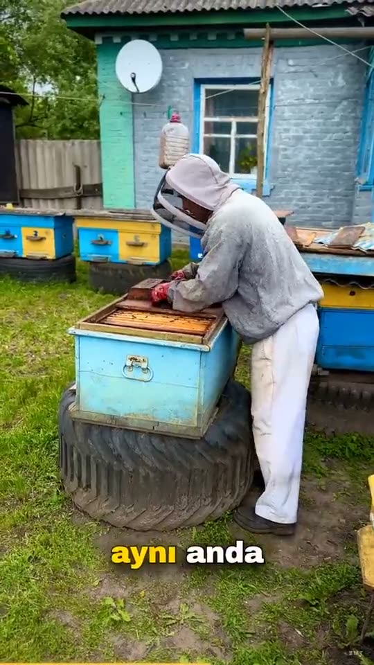 Vertical Short: a beekeeper in a veil opening a blue hive beside a row of hive boxes in a garden, with a burned-in Turkish caption.