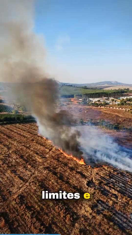 Vertical Short: a line of flame and smoke crossing a harvested field, seen from a drone, with a burned-in Portuguese caption.